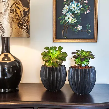 Vintage Charming House Ferienhaus Ponta Delgada