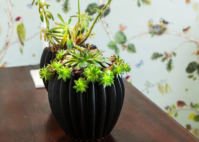 Vintage Charming House Ponta Delgada